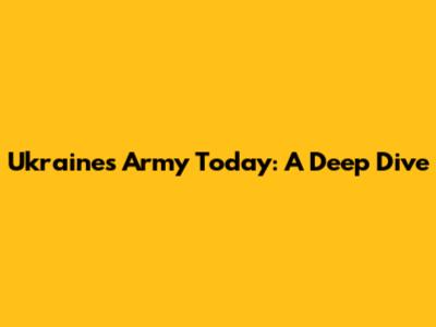 Ukraine's Army Today: A Deep Dive