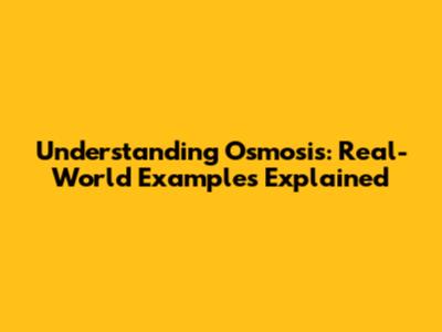 Understanding Osmosis: Real-World Examples Explained