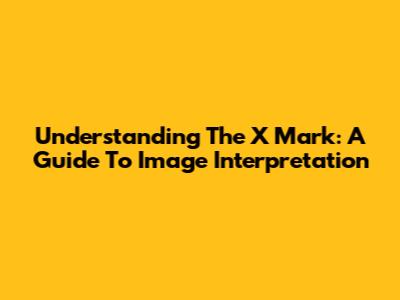 Understanding The 'X' Mark: A Guide To Image Interpretation