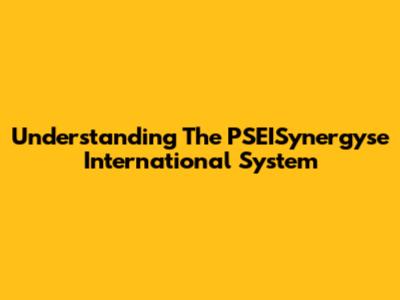 Understanding The PSEISynergyse International System