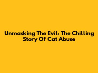 Unmasking The Evil: The Chilling Story Of Cat Abuse