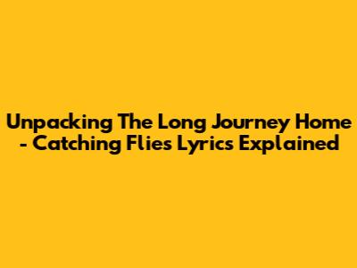 Unpacking 'The Long Journey Home' - Catching Flies Lyrics Explained