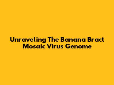 Unraveling The Banana Bract Mosaic Virus Genome