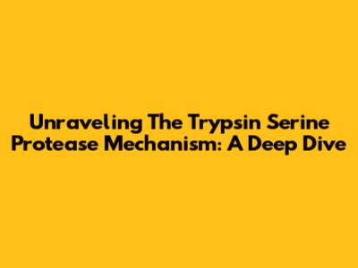Unraveling The Trypsin Serine Protease Mechanism: A Deep Dive