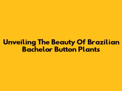 Unveiling The Beauty Of Brazilian Bachelor Button Plants