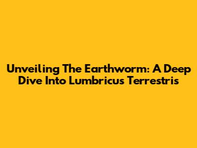 Unveiling The Earthworm: A Deep Dive Into Lumbricus Terrestris