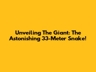 Unveiling The Giant: The Astonishing 33-Meter Snake!