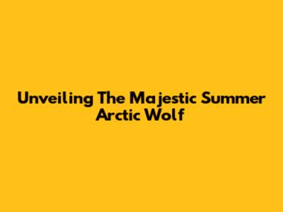 Unveiling The Majestic Summer Arctic Wolf