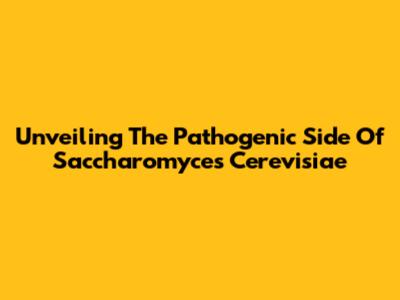 Unveiling The Pathogenic Side Of Saccharomyces Cerevisiae