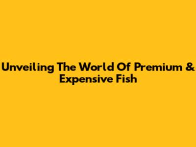 Unveiling The World Of Premium & Expensive Fish