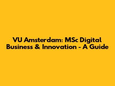 VU Amsterdam: MSc Digital Business & Innovation - A Guide