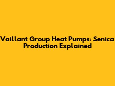 Vaillant Group Heat Pumps: Senica Production Explained