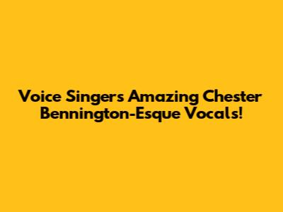 Voice Singer's Amazing Chester Bennington-Esque Vocals!