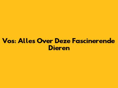Vos: Alles Over Deze Fascinerende Dieren