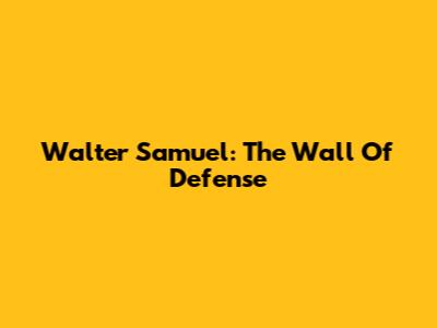 Walter Samuel: The Wall Of Defense