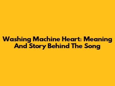 Washing Machine Heart: Meaning And Story Behind The Song