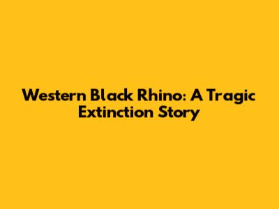 Western Black Rhino: A Tragic Extinction Story