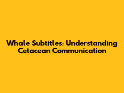 Whale Subtitles: Understanding Cetacean Communication