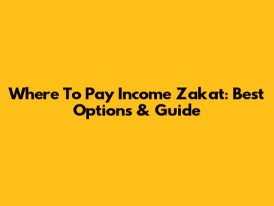 Where To Pay Income Zakat: Best Options & Guide