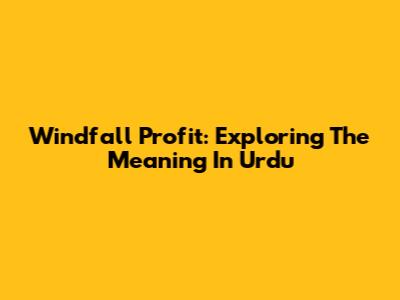 Windfall Profit: Exploring The Meaning In Urdu
