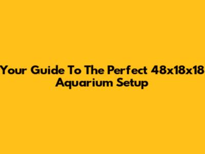 Your Guide To The Perfect 48x18x18 Aquarium Setup
