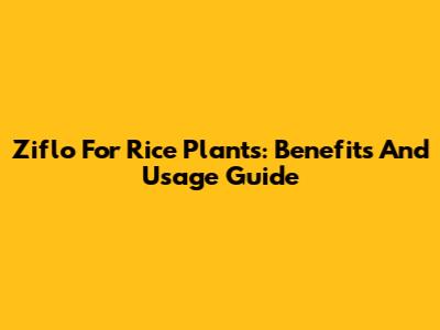 Ziflo For Rice Plants: Benefits And Usage Guide