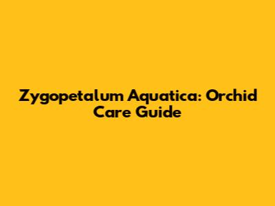Zygopetalum 'Aquatica': Orchid Care Guide